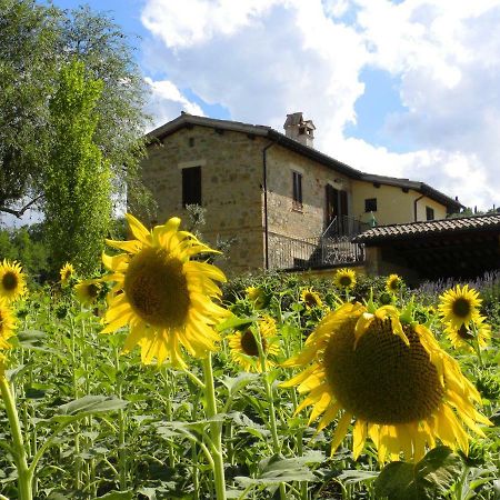 Appartamenti Verde Collina Umbra Bevagna Bagian luar foto