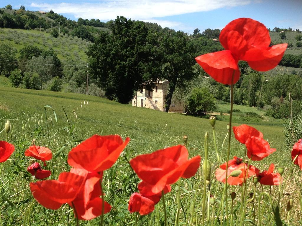 Appartamenti Verde Collina Umbra Bevagna Bagian luar foto