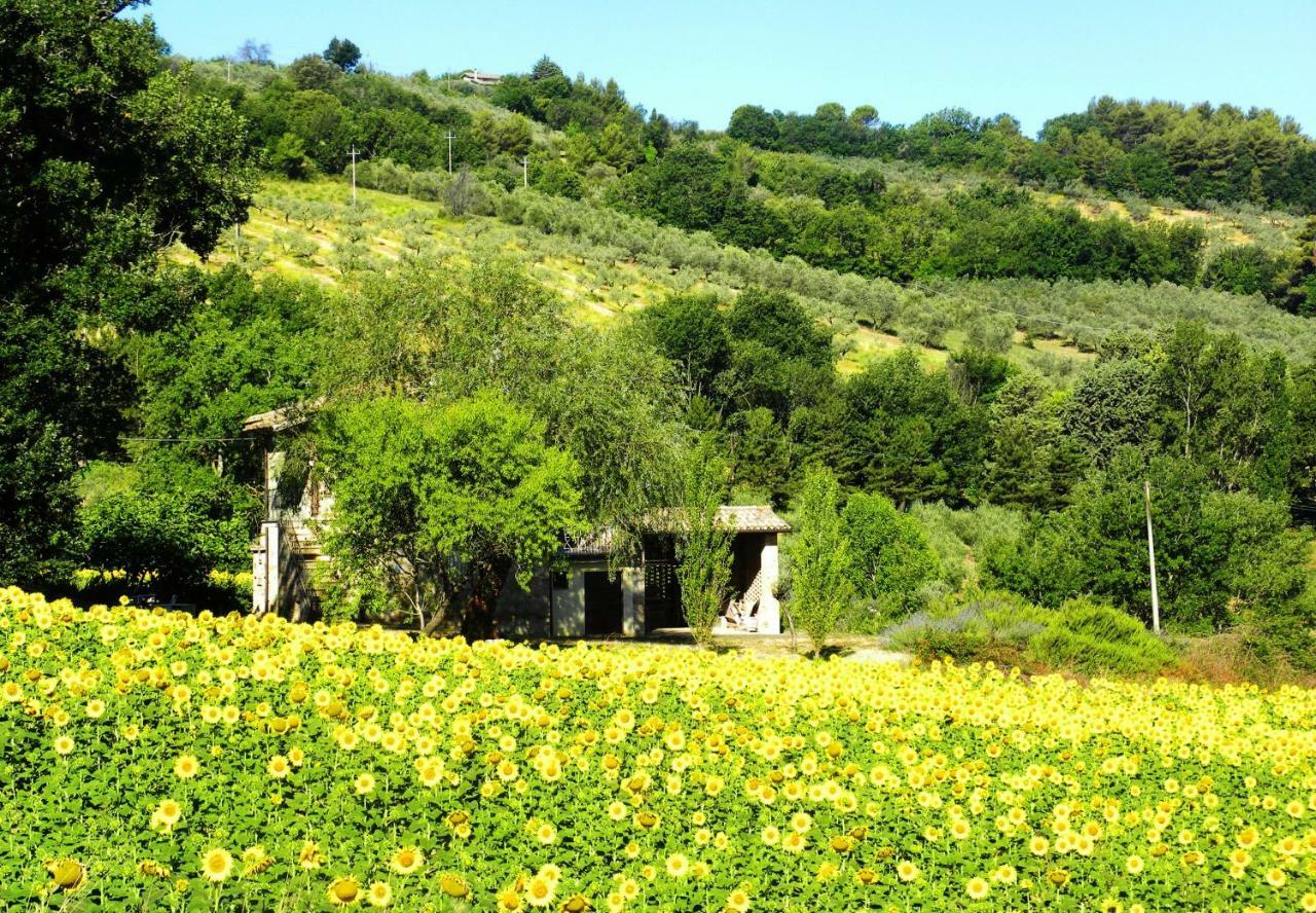 Appartamenti Verde Collina Umbra Bevagna Bagian luar foto