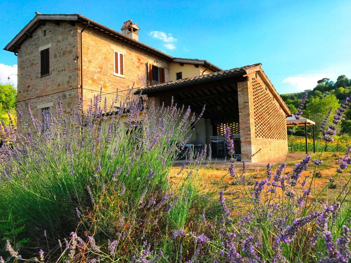 Appartamenti Verde Collina Umbra Bevagna Bagian luar foto