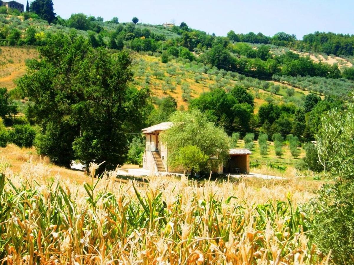 Appartamenti Verde Collina Umbra Bevagna Bagian luar foto