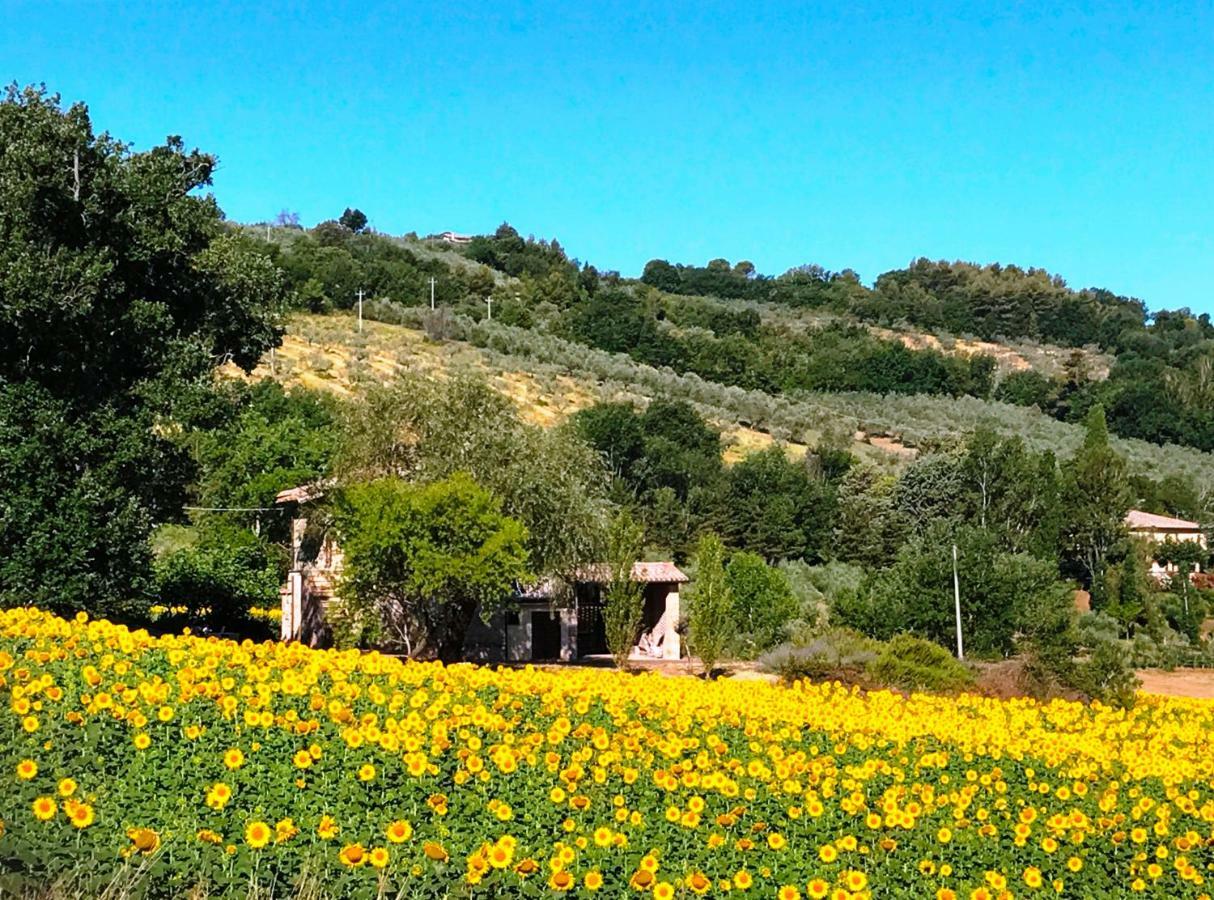 Appartamenti Verde Collina Umbra Bevagna Bagian luar foto