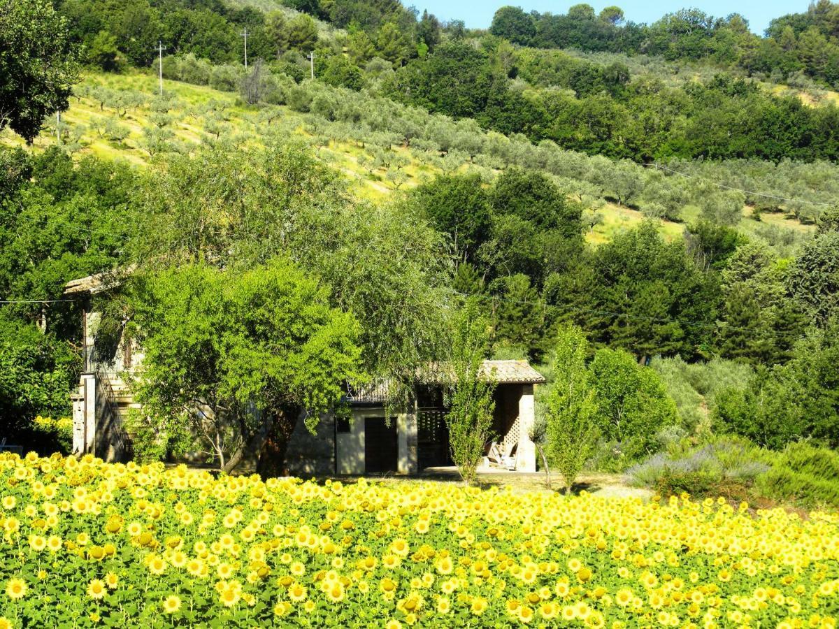 Appartamenti Verde Collina Umbra Bevagna Bagian luar foto